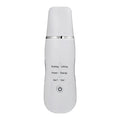 Ultrasonic Skin Scraper Beauty Instrument